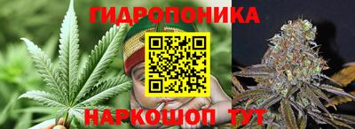 сатива Тула