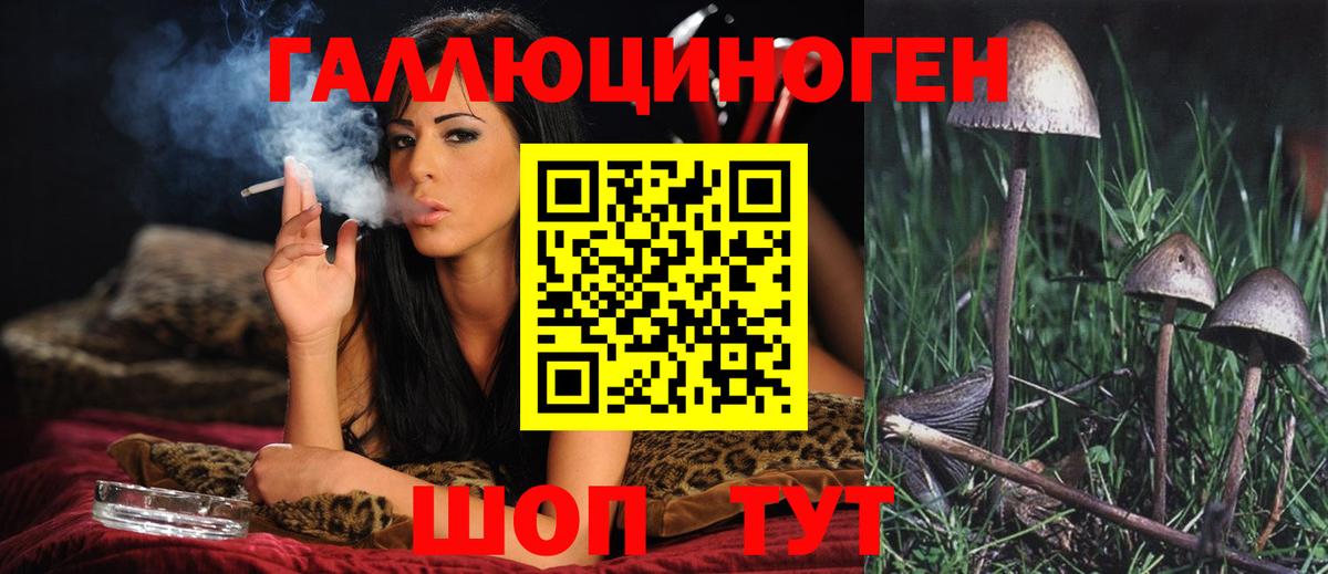 Галлюциногенные грибы мицелий Миасс